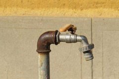 耐臭氧材料