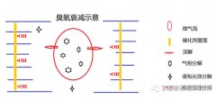 催化臭氧化工藝核心 — 催化劑填料與反應器